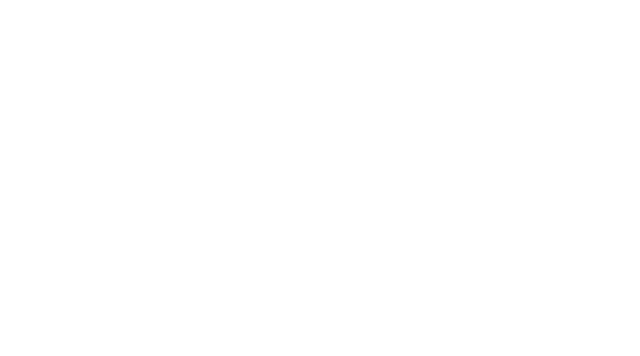 Leonit Logo