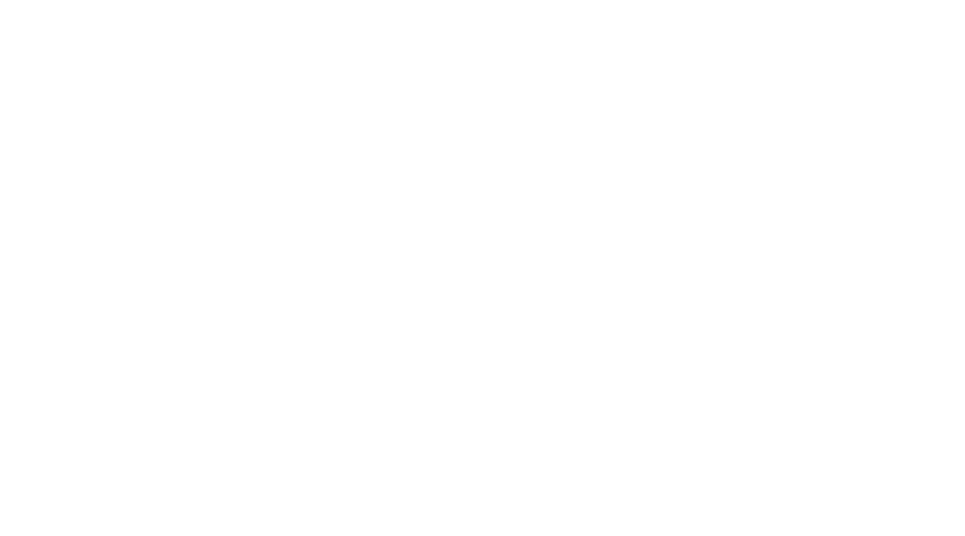 Leonit Logo
